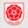英格兰国家队标志图标